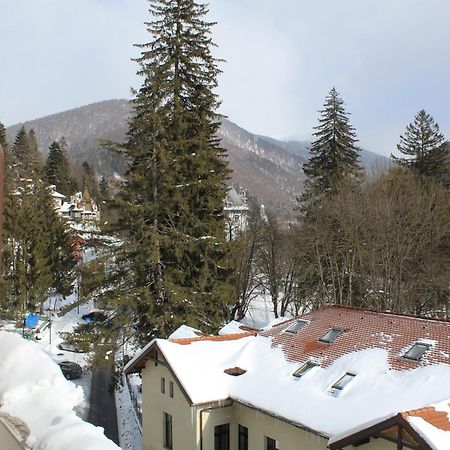 Central Park View Sinaia Zewnętrze zdjęcie