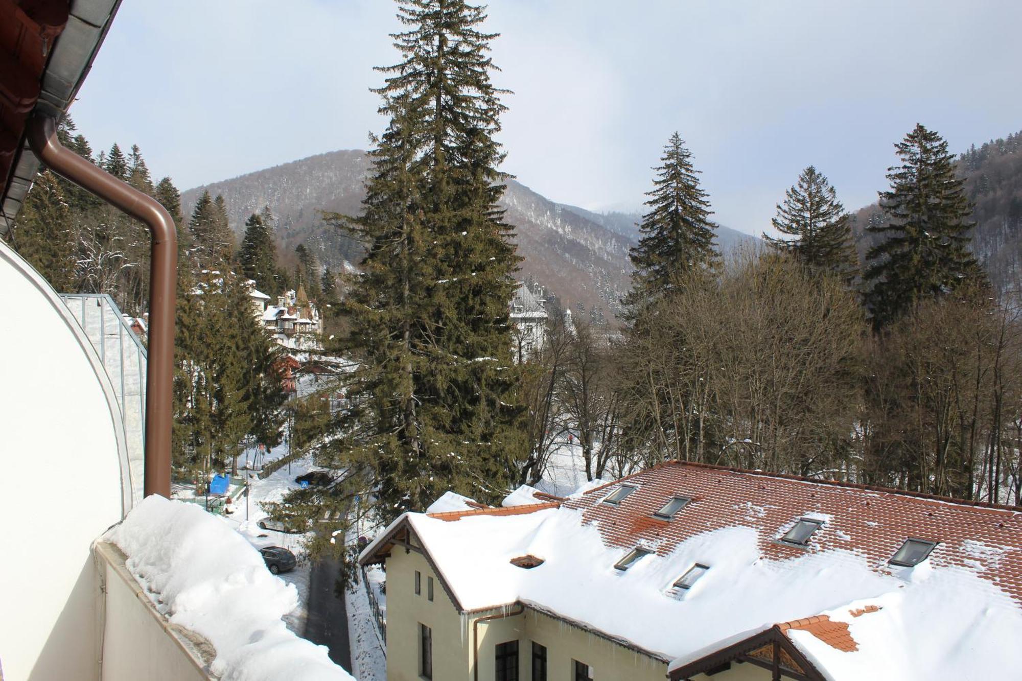 Central Park View Sinaia Zewnętrze zdjęcie