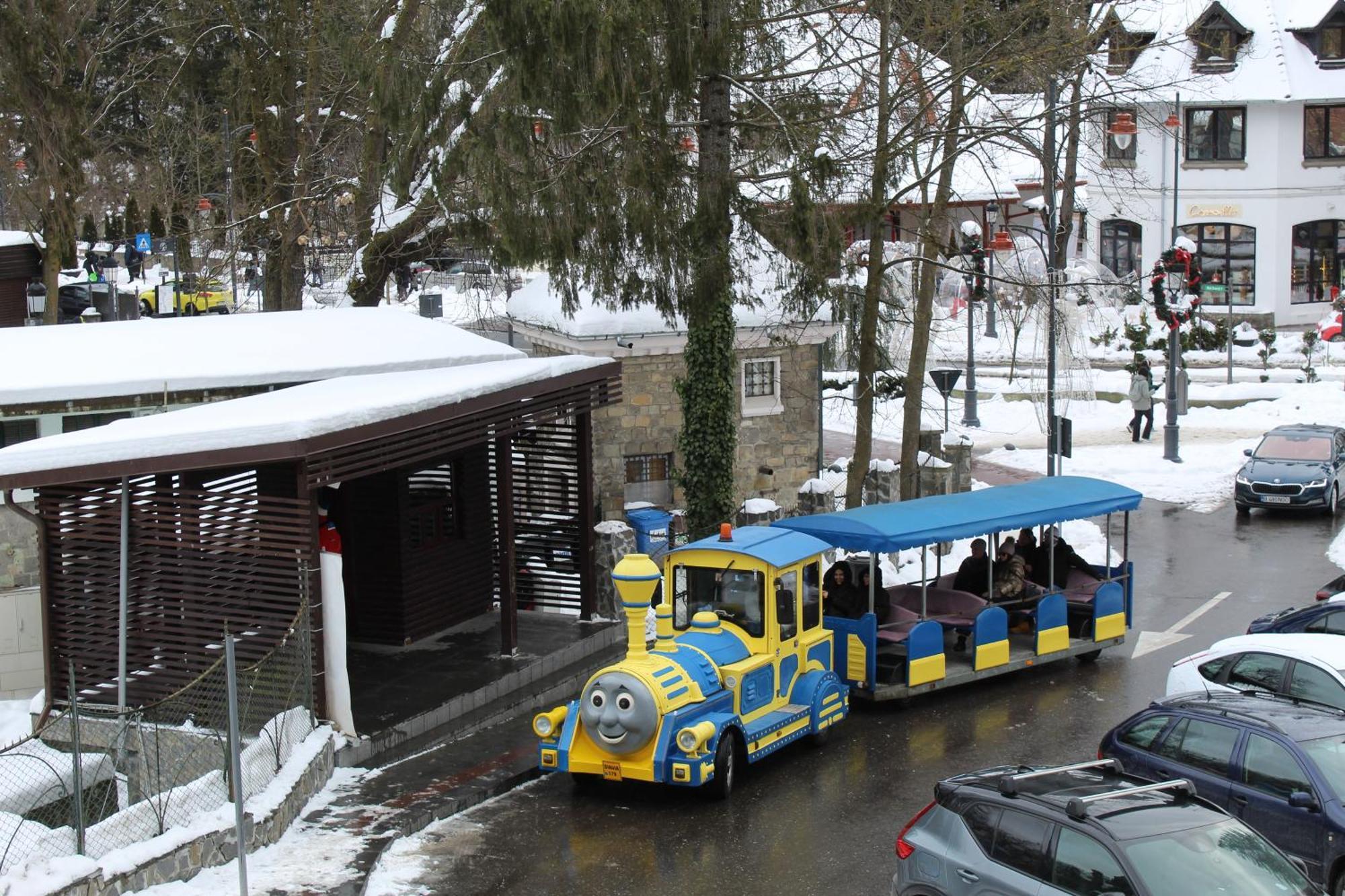 Central Park View Sinaia Zewnętrze zdjęcie
