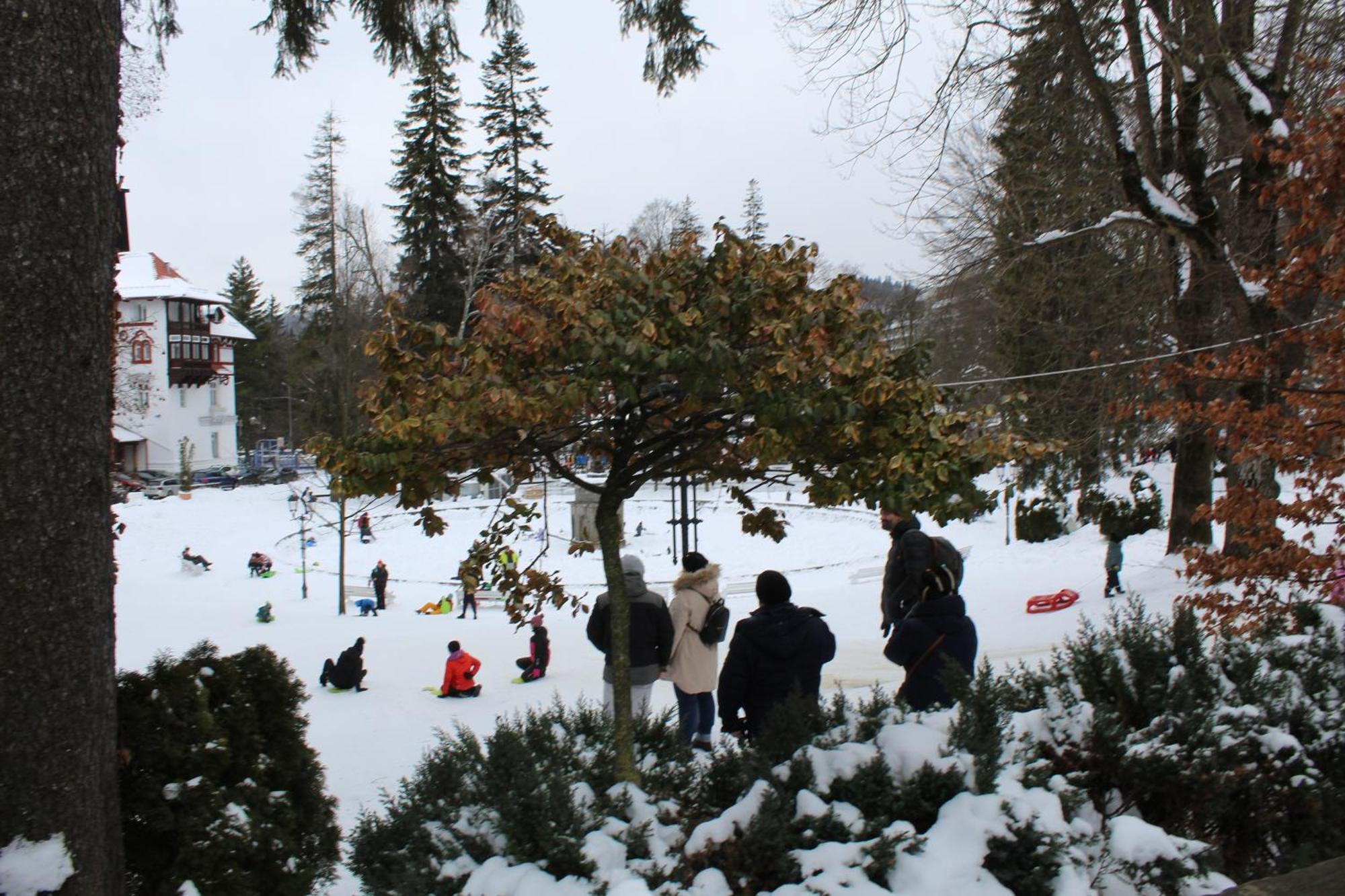 Central Park View Sinaia Zewnętrze zdjęcie