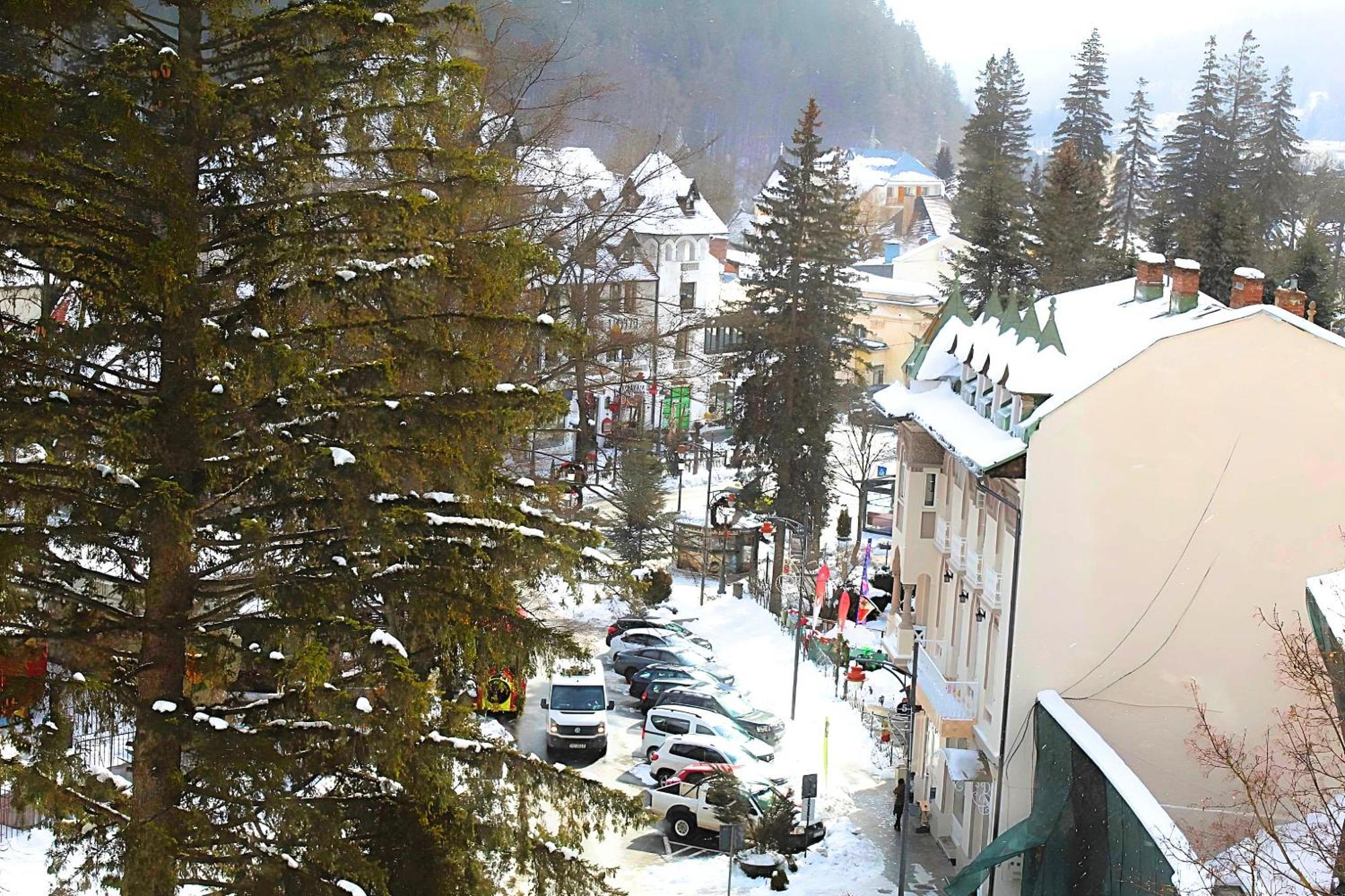 Central Park View Sinaia Zewnętrze zdjęcie